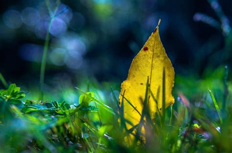 Nature Paper Abstract 的图像结果