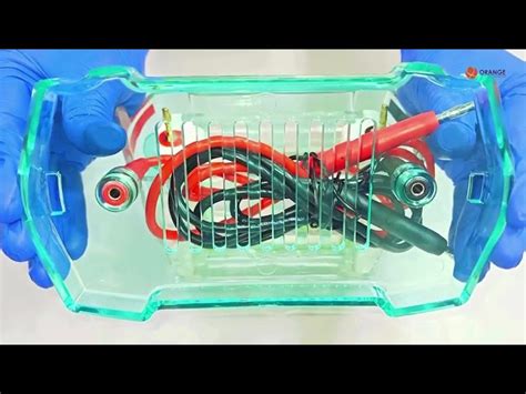 Proteomics - Pro TechEx-Protein Estimation Kit by Biuret Method ...