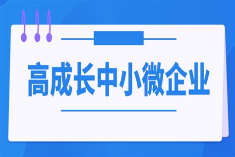 视频 |广东省中小企业服务月：“一起益企”为中山中小企业纾困解难