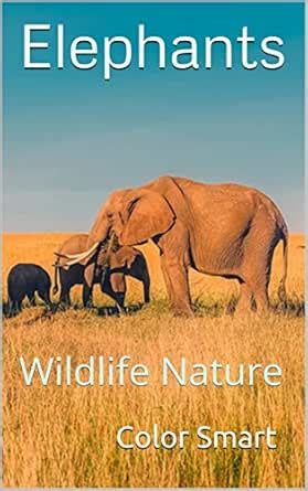 Elephants: Wildlife Nature (Photo Book Book 100) eBook : Smart, Color ...