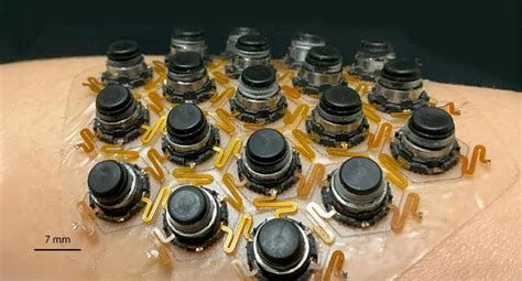 Image result for Dynamic Equilibrium Device Human