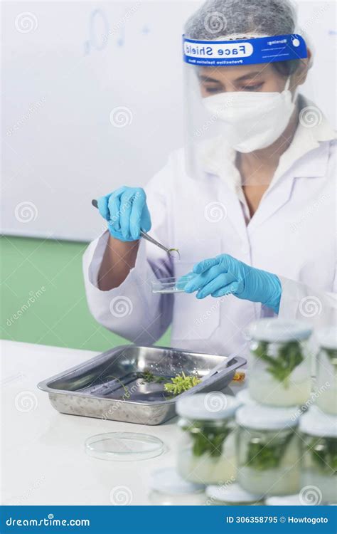 Biotech Lab Scientist 的图像结果