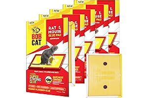 Amazon.in Bestsellers: The most popular items in Traps