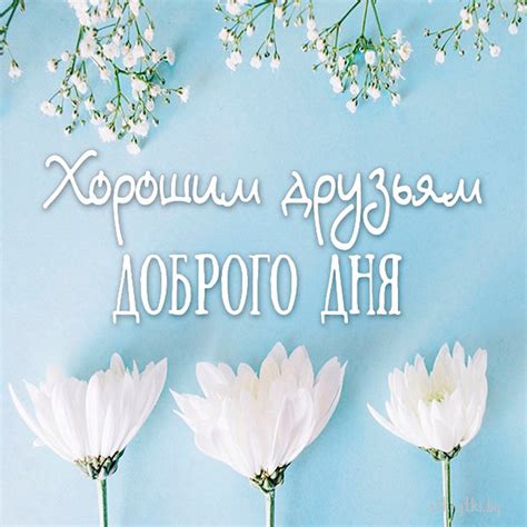 200+ красивых открыток ДОБРЫЙ ДЕНЬ и прикольных картинок с добрым днем