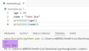 Image result for How to Convert Object to String in Python