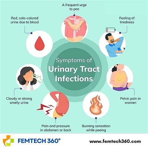 Dr. Hema Divakar | 🚨 Are You Experiencing These UTI Symptoms? 🚨 Urinary Tract Infections (UTIs ...
