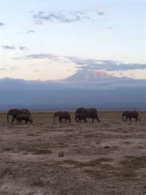 CSG Solutions Office Photos