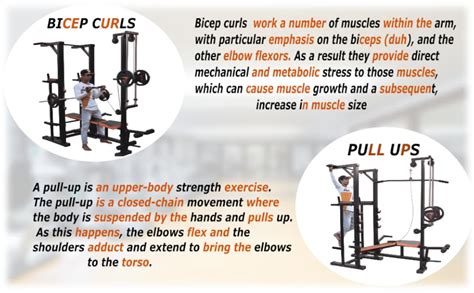 HASHTAG FITNESS Abs Tower With 20In1 Incline Gym Bench,Gym Cable ...