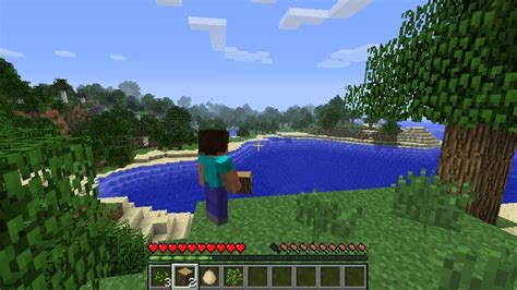 Image result for How Do You Go in Third Person in Minecraft Java Edition