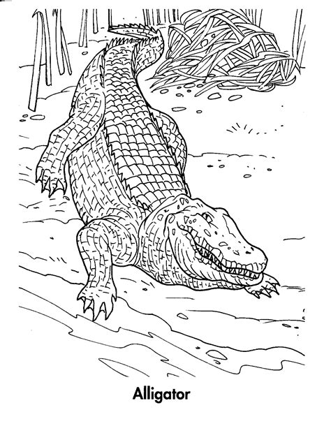 Coloring Page Crocodile