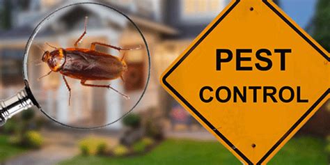 Chennai Notes | Business Listing Chennai | Local Business Listing ...