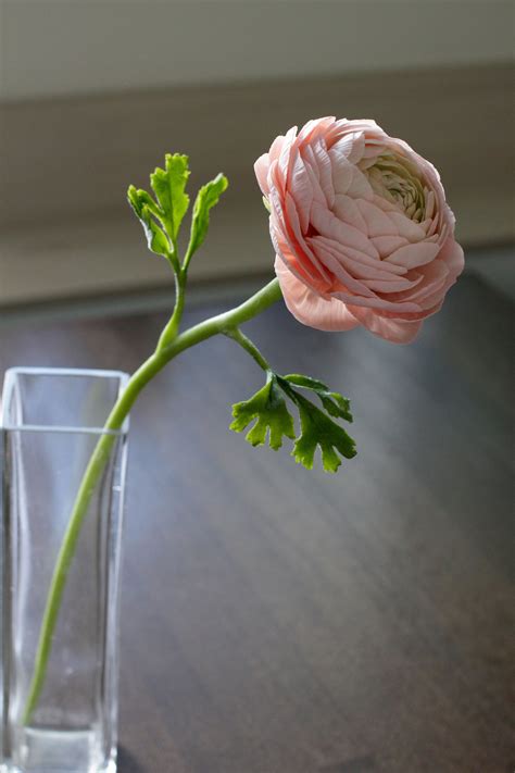 Image result for 3D Polymer Clay Flower Tutorials