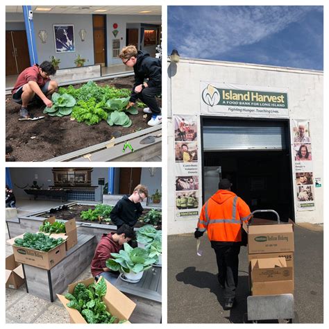 Image result for Rust Farm Bot