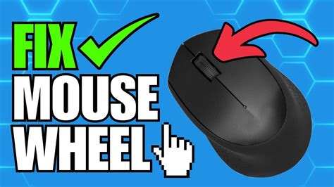 Fix Roller Mouse Problem 的图像结果