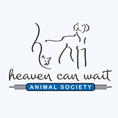 Heaven Can Wait Animal Society - Dog Events | AllEvents