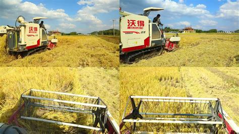 收割 的图像结果