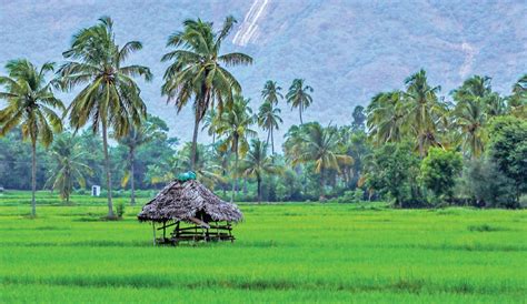 Kerala Set to Become Poverty-Free on November 1: CM | The Daily ...