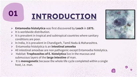 entamoeba histolytica.pptx