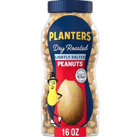 Snapklik.com : PLANTERS Dry Roasted Peanuts, Plant-Based Protein ...