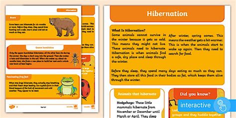 Hibernation Reading Comprehension Activity - Twinkl