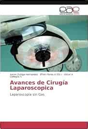 Buy Avances de Cirugía Laparoscopica: Laparoscopía sin Gas (Spanish ...