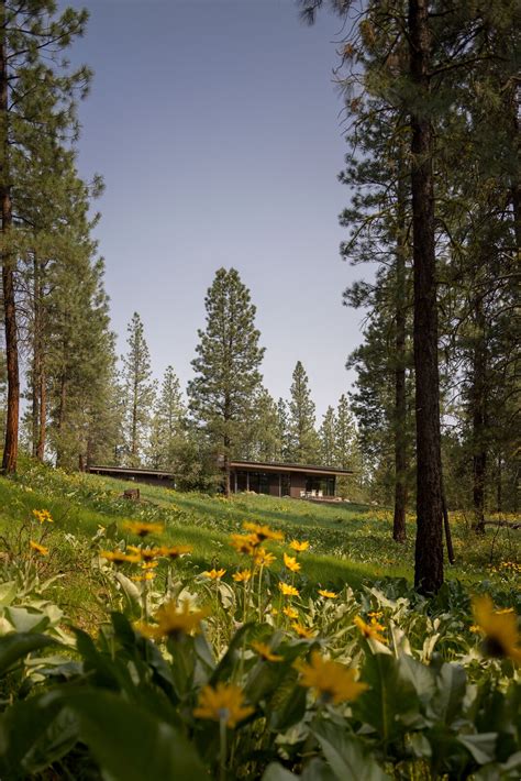 Photo 15 of 16 in Wildflower by Prentiss + Balance + Wickline ...