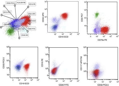 Image result for Lymphocyte Lineage Modulator