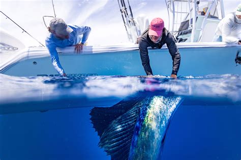 Pathfinder Gear – MBG Gear