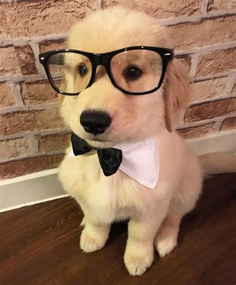 He got a date : r/Eyebleach