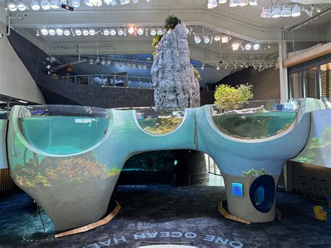 Inside Seattle Aquarium's new Ocean Pavilion, a high-tech showcase for ...