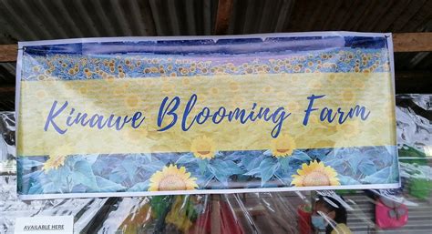 THE 10 BEST Places to Visit in Bukidnon Province - UPDATED 2022