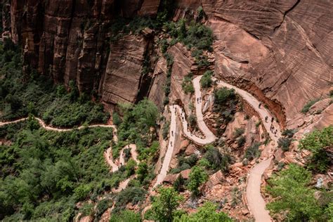The Best Zion National Park Hikes, From Angel's Landing to Timber Creek | Condé Nast Traveler