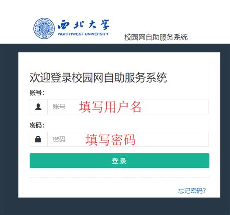 财务信息平台登录指南-西北大学财务资产部