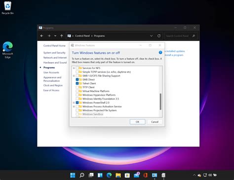 Image result for Telnet Command Windows 11
