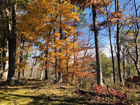 Local Weather Conditions 的图像结果