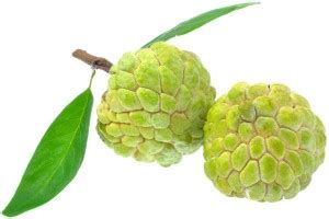 Custard Apple Price in India - Buy Custard Apple online at Flipkart.com