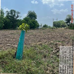 Eco-Growth, Rural Prosperity: Transworld’s CSR Initiative – Grow ...