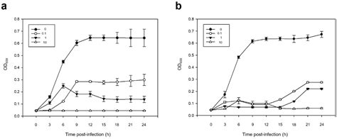 Isolation and Characterization of Two Bacteriophages and Their ...