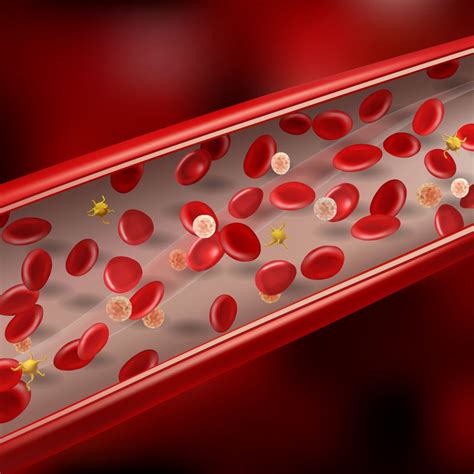 Image result for Blood Circulation Testing