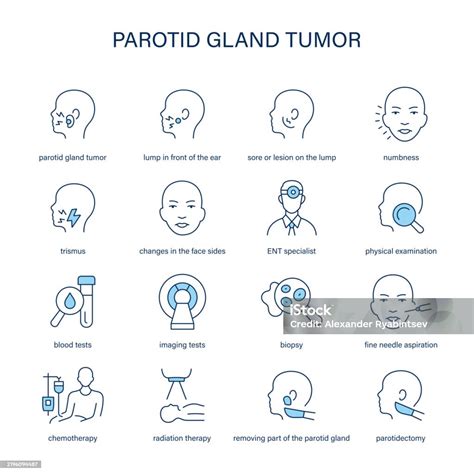 Parotid Gland Tumor Symptoms Diagnostic And Treatment Vector Icon Set Stock Illustration ...