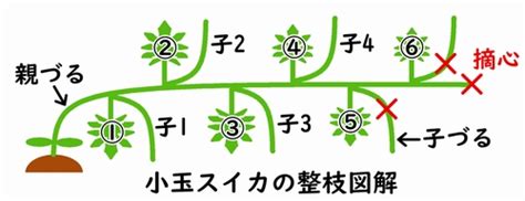 Image result for Course of Dom in JavaScript