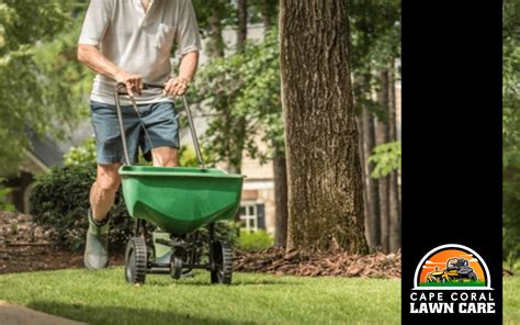 How to Fertilize Your Yard: A Comprehensive Guide