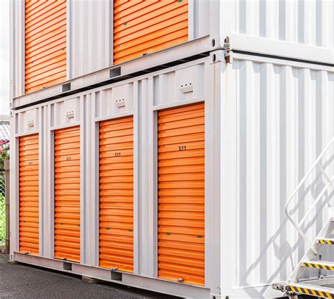 Local Storage Unit 的图像结果