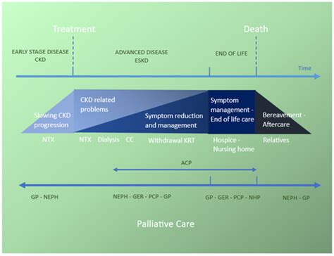 Geriatric Assessment in Older Patients with Advanced Kidney Disease: A ...
