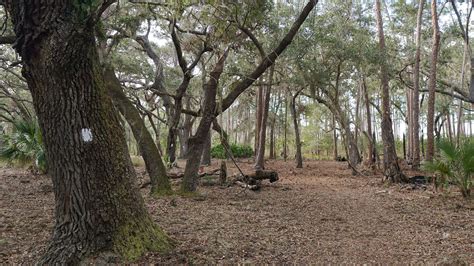 Are Dogs Allowed At Island Lake State Park