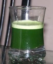 Growing Wheat Grass and Juicing – Prof Prabhat Ranjan’s Blog