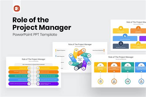 Image result for Project Manager Role Infographic