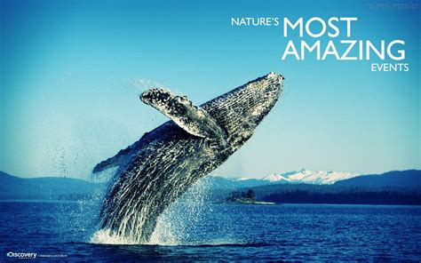 Discovery Channel Technology 的图像结果