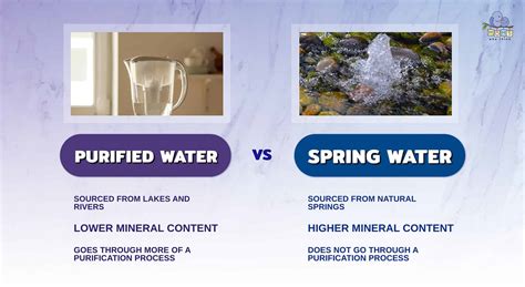 What Is The Difference Between Purified And Spring Water