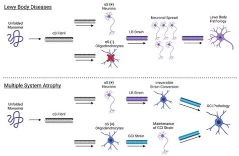 Biomolecules | Special Issue : Synuclein Proteins